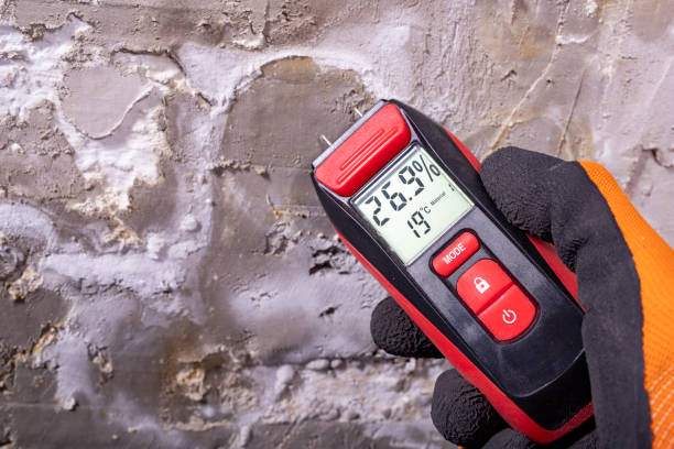 Best Affordable Mold Removal  in Patterson Tract, CA