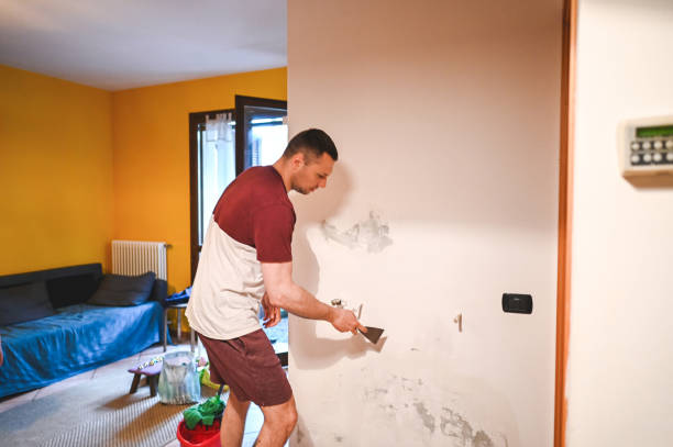 Best Professional Mold Removal  in Patterson Tract, CA